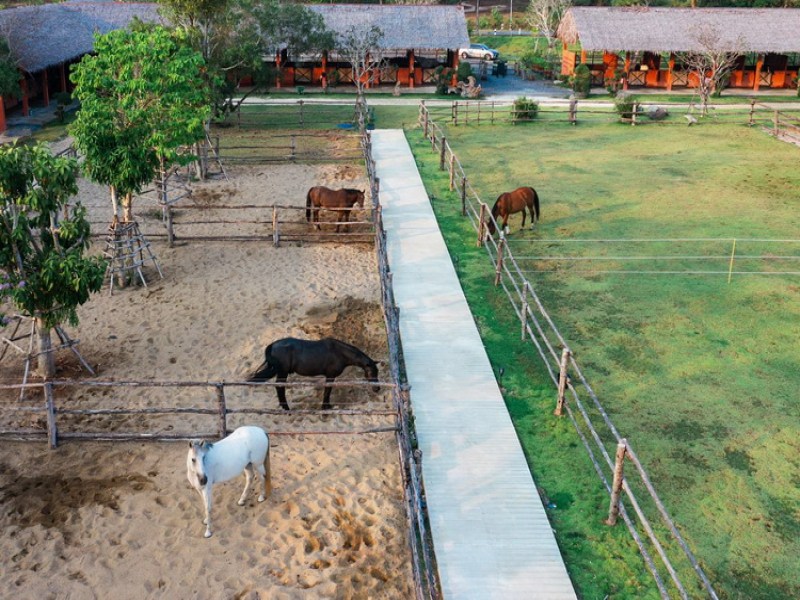Niran Equestrian Center Phuket - Image 2