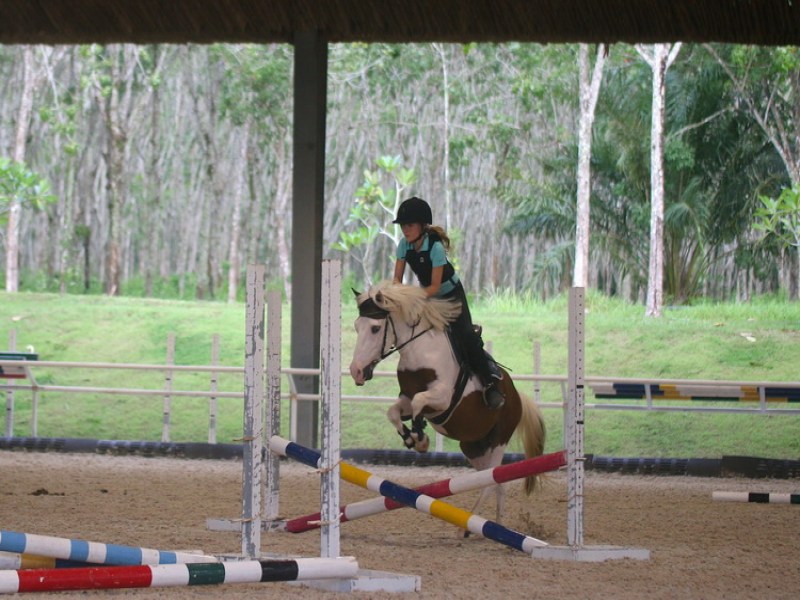 Niran Equestrian Center Phuket - Image 4