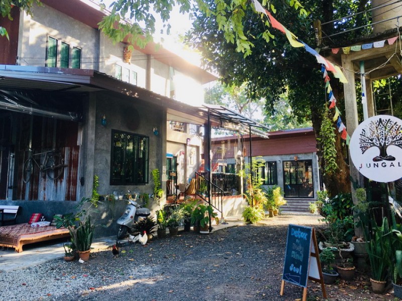 Jungala Phuket - Image 3