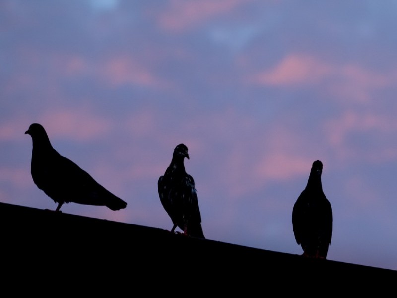 Phuket Photography Tours - Image 3