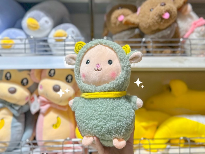 MR. D.I.Y. Kuku - Image 3