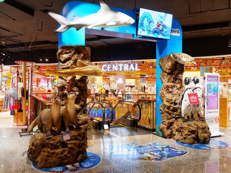 Aquaria Phuket - Image 4