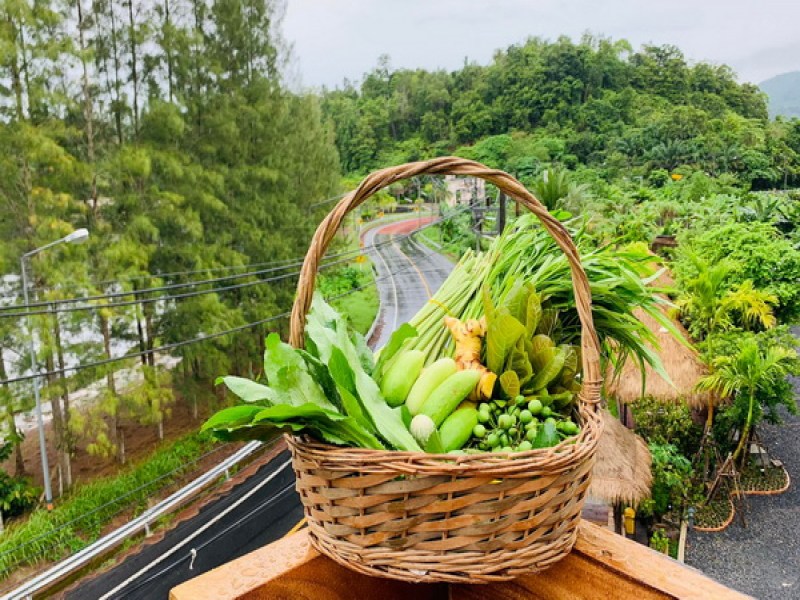 Coffee in farm Phuket - Image 4