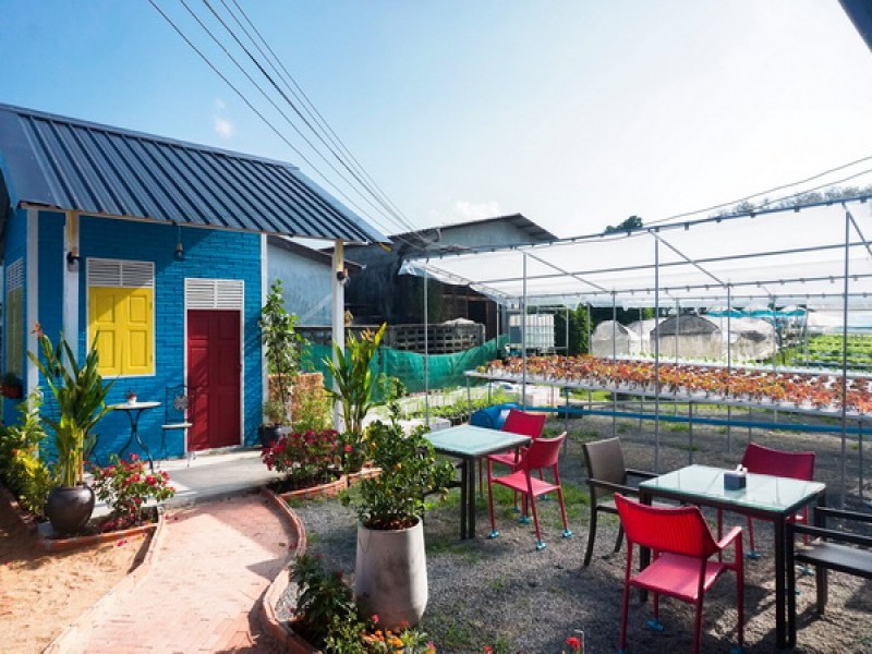 Wandee Steak Salad T Bar - Image 5