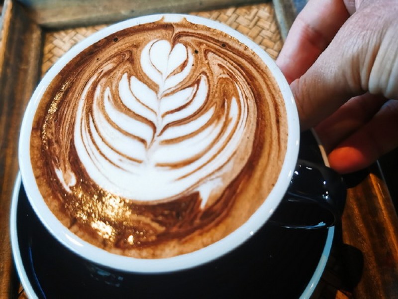 Chino@Cafe' Gallery - Image 3