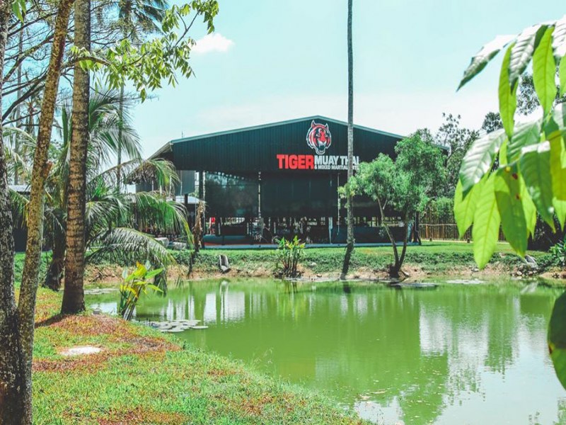 Tiger Muay Thai Beachside
