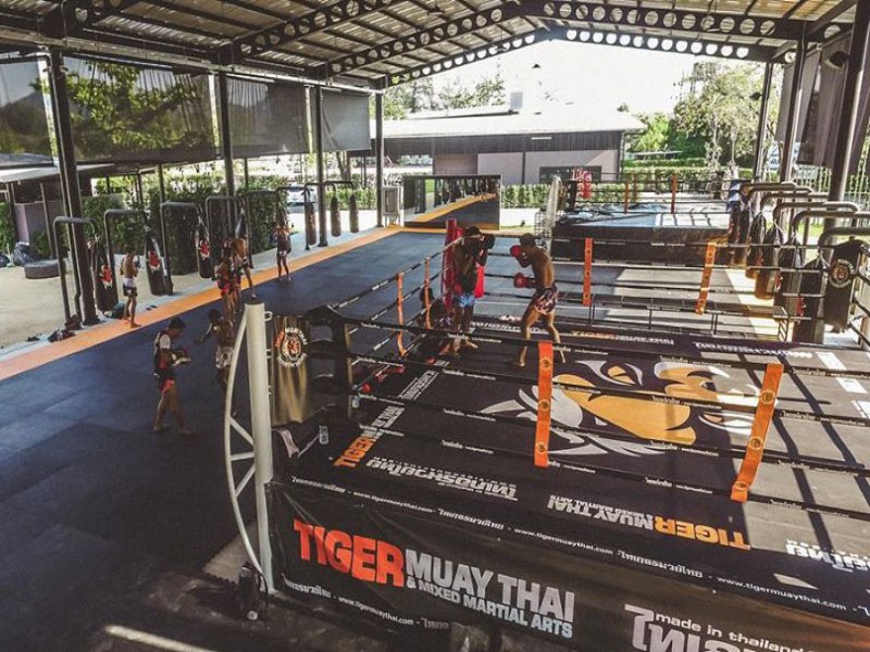 Tiger Muay Thai Beachside - Image 2