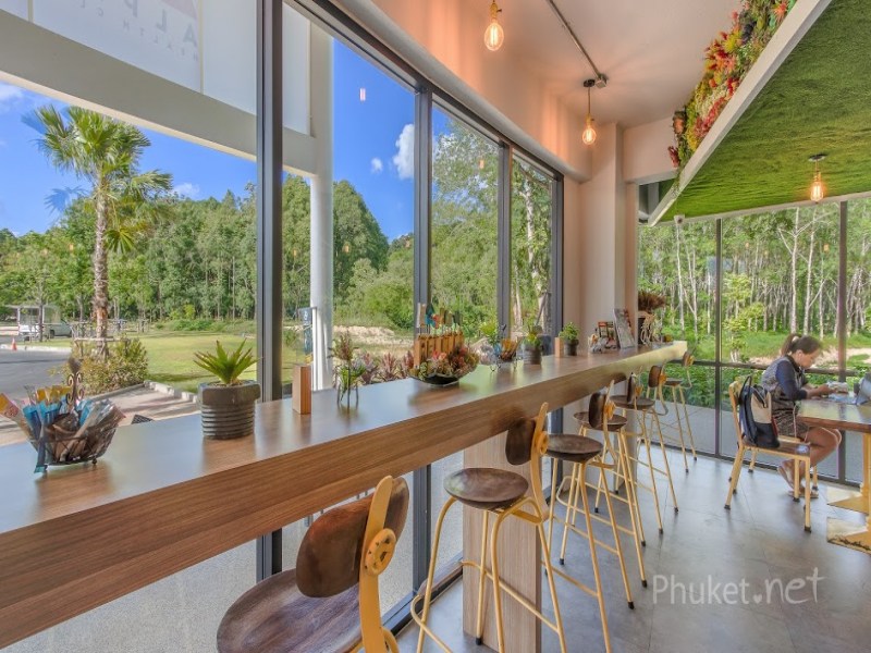 Dynamic Club Phuket - Image 4