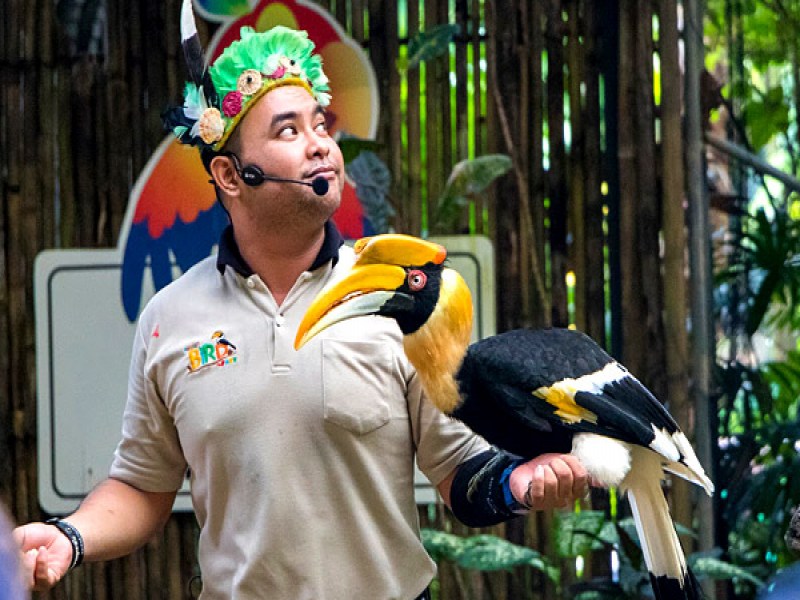 Phuket Bird Park - Image 4