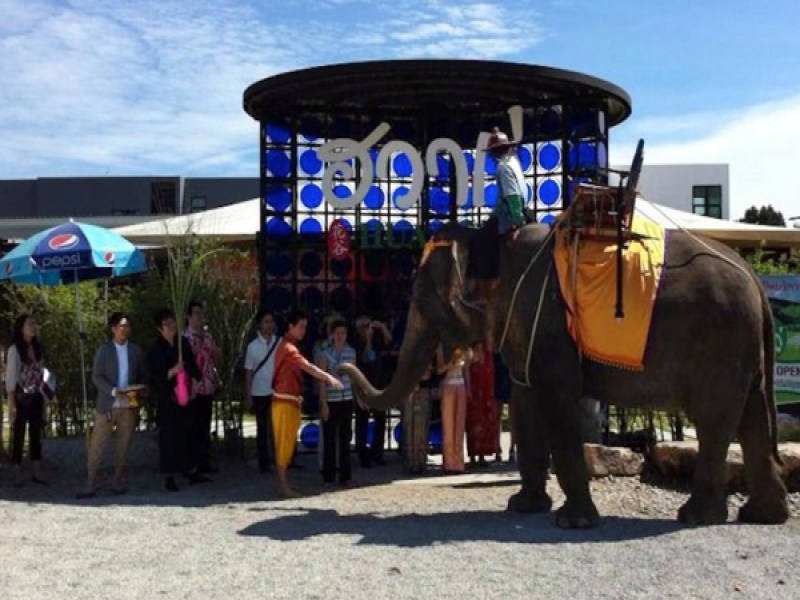 Hua Gu Restaurant Phuket - Image 5