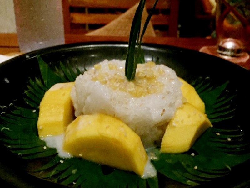 Ginja Taste - Image 4