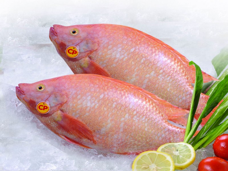 Sapam Food Supply - Image 2