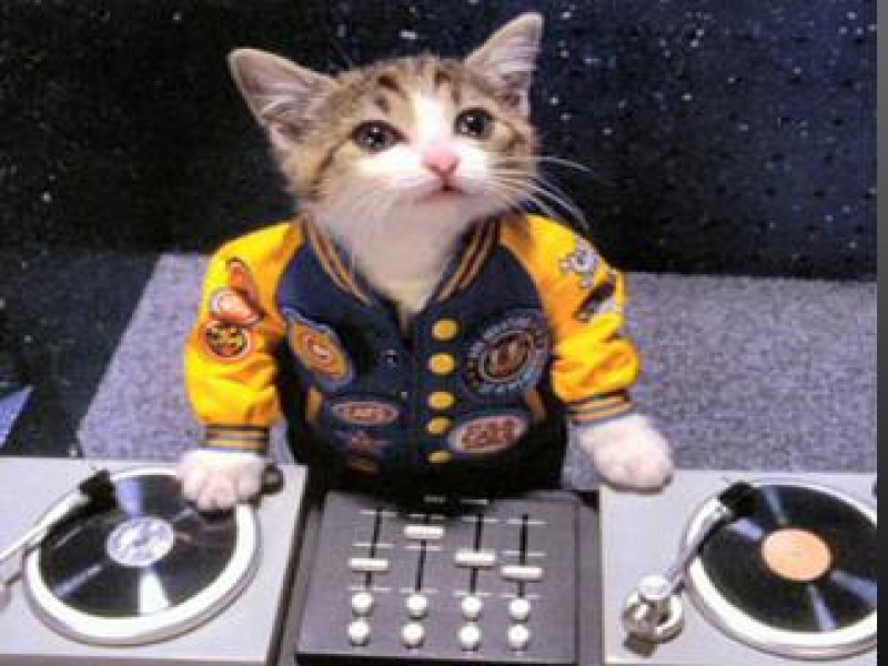 RST Real Sound (Thailand) Co., Ltd. - Image 3