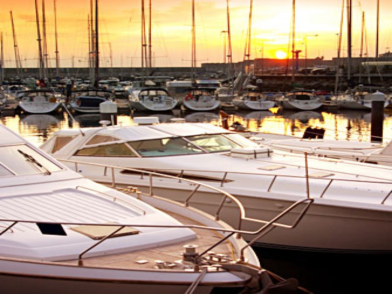 MSI (Thailand) Co., Ltd. - Image 4