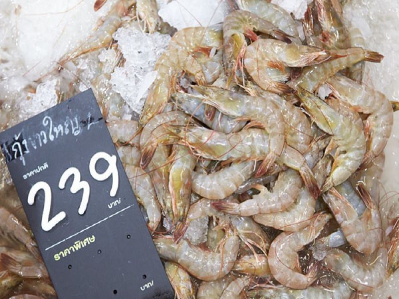 Lotus's Extra (By Pass Road) - Image 5