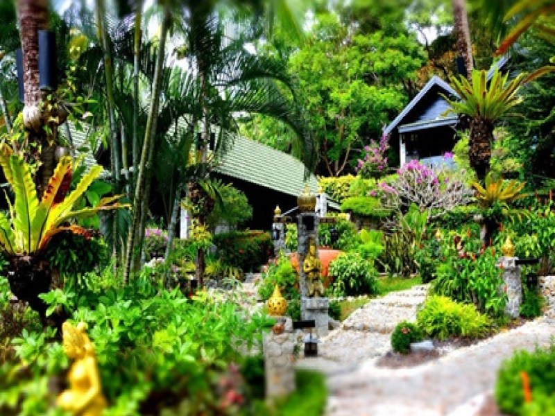 Boomerang Village Resort - Image 2