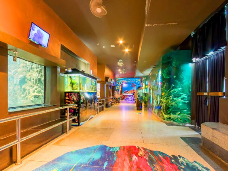 Phuket Aquarium - Image 4