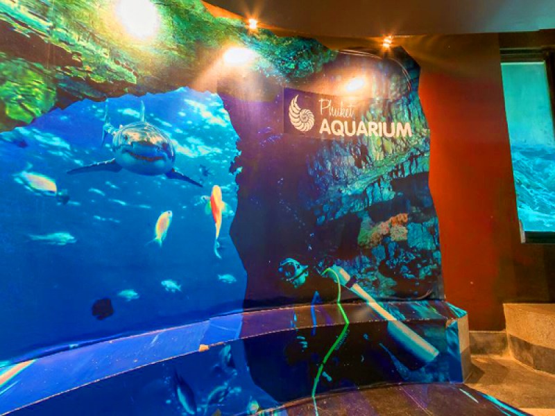 Phuket Aquarium - Image 5