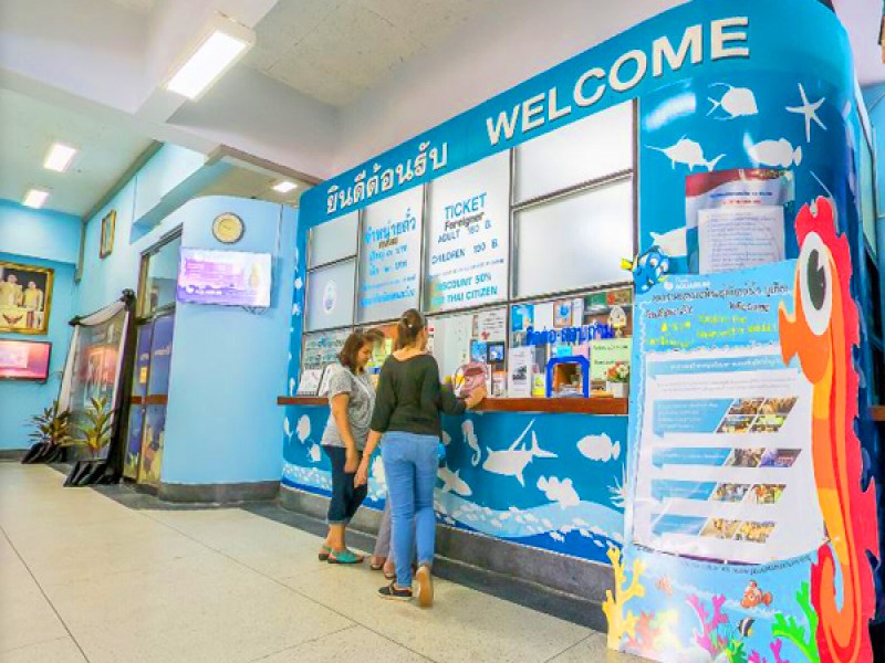 Phuket Aquarium - Image 3