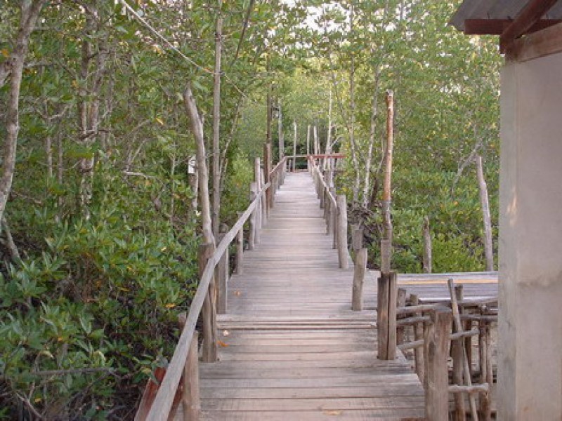 Paklok Sub-District Municipality Office - Image 3