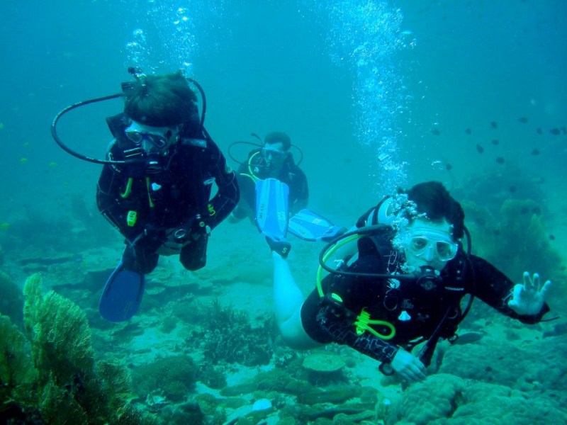 Phuket Pro Dive & Sail Co., Ltd. - Image 5