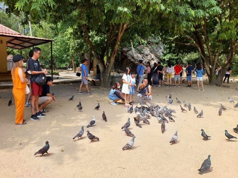 Mari Tour Phuket - Image 4