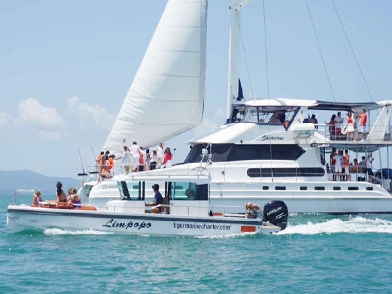 Tiger Marine Charter - Image 4