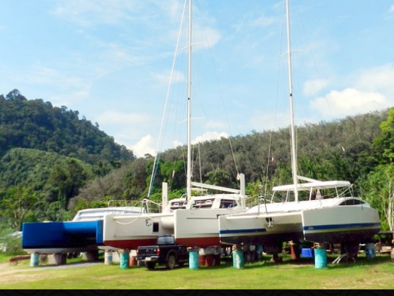 CATATHAI Co. Ltd - Image 5