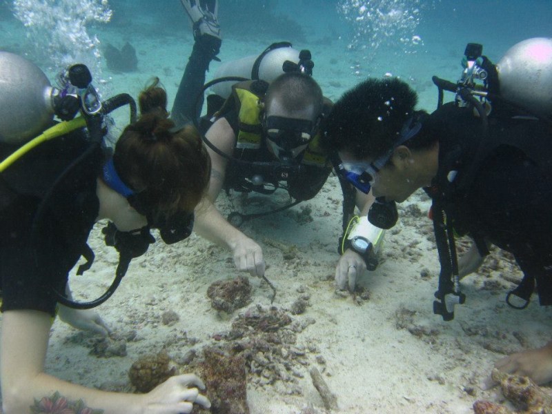 Calypso Divers Phuket